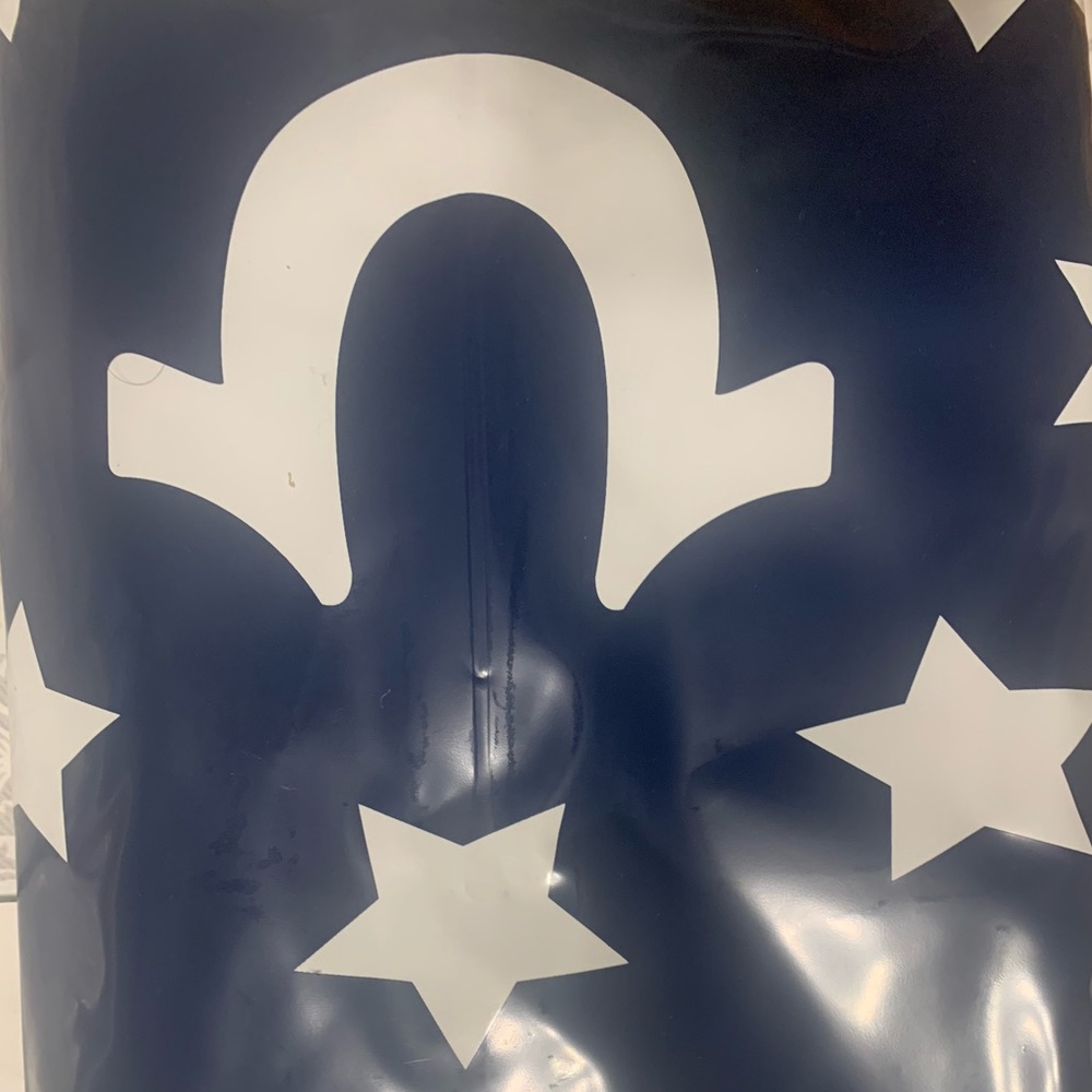 True Religion Pool Float - Picture 3 of 5